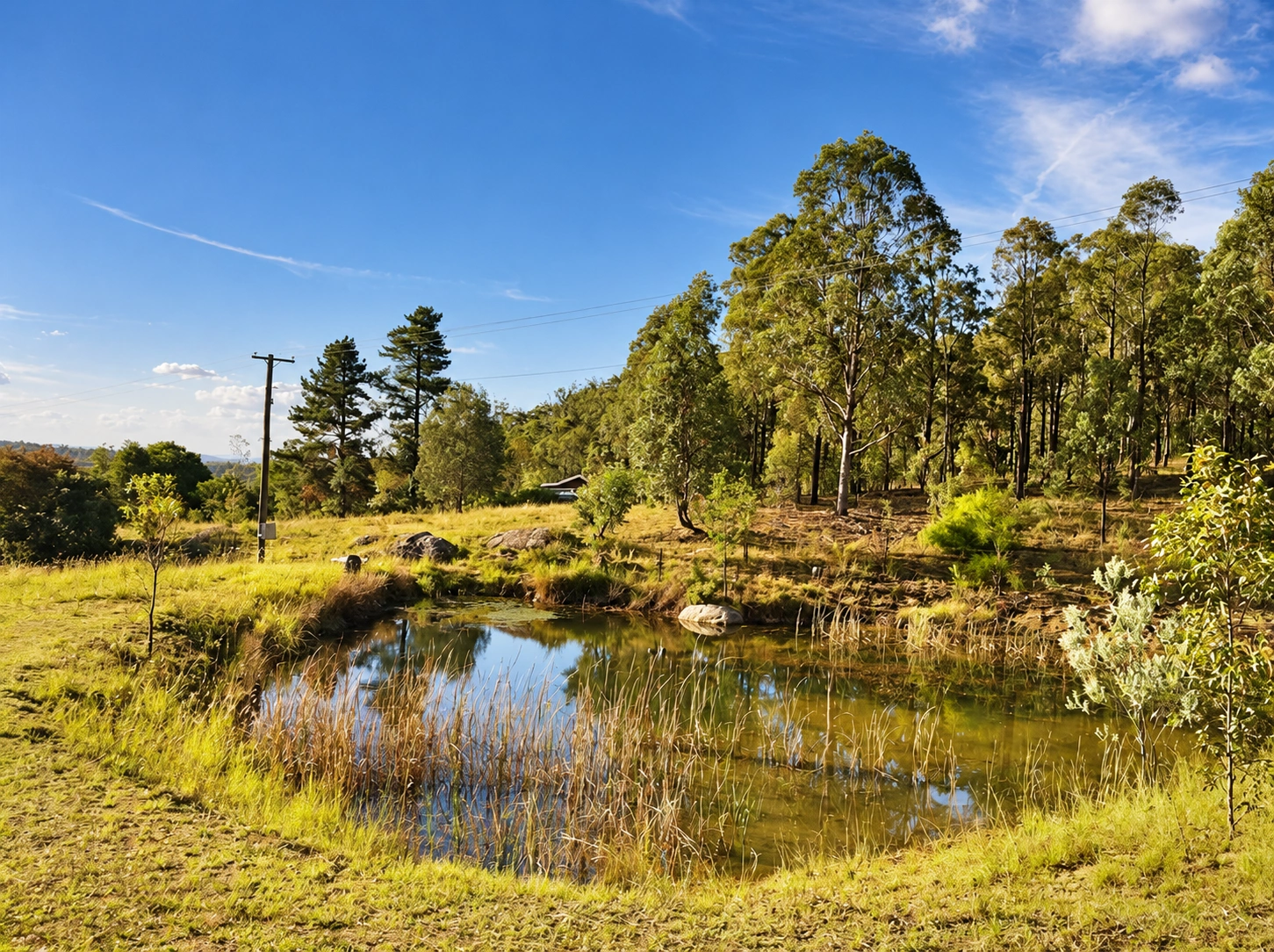 Native bushland and water on the property
